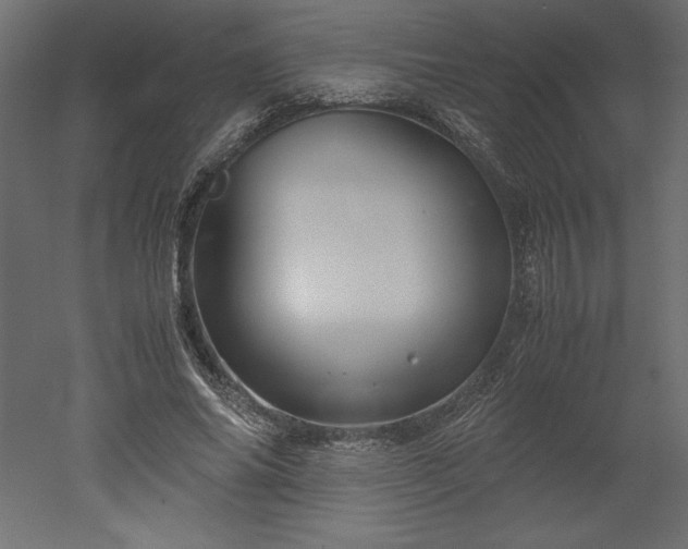 X0000051900686200507011508