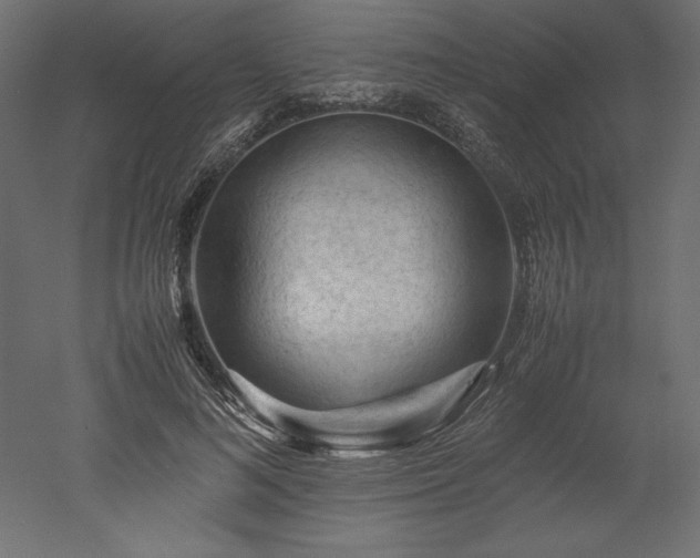 X0000051900692200507011508