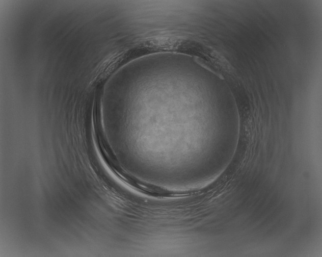X0000051900693200507011508