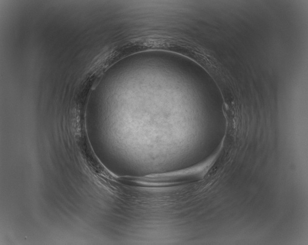X0000051900696200507011507