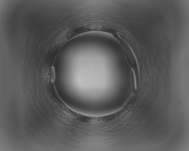 X0000051900697200507011507