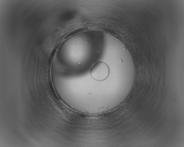 X0000051900698200507011507