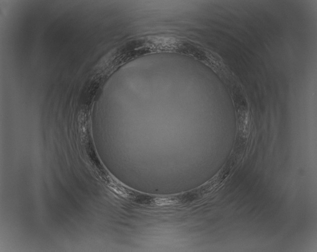 X0000051900701200507011507