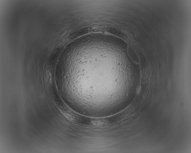 X0000051900703200507011507