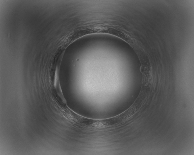 X0000051900704200507011507