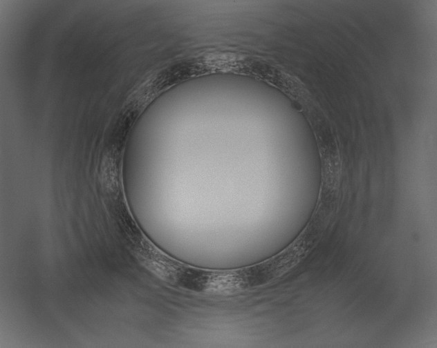 X0000051900705200507011507