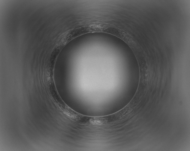 X0000051900706200507011507