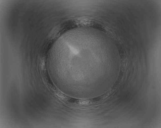 X0000051900709200507011507