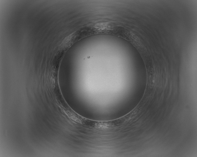 X0000051900710200507011507
