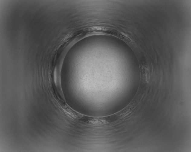 X0000051900712200507011507