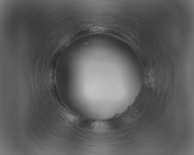 X0000051900714200507011507