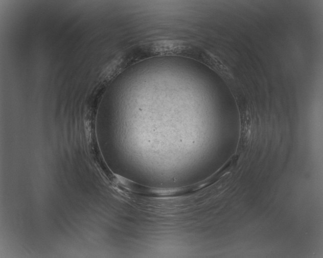 X0000051900716200507011507