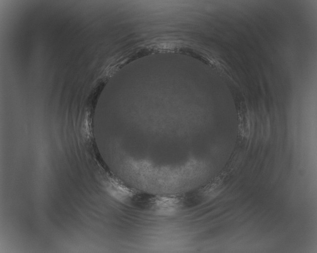X0000051900718200507011507