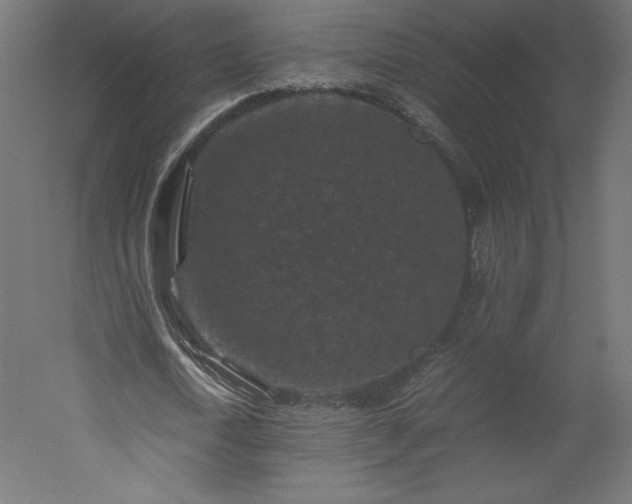 X0000051900722200507011506