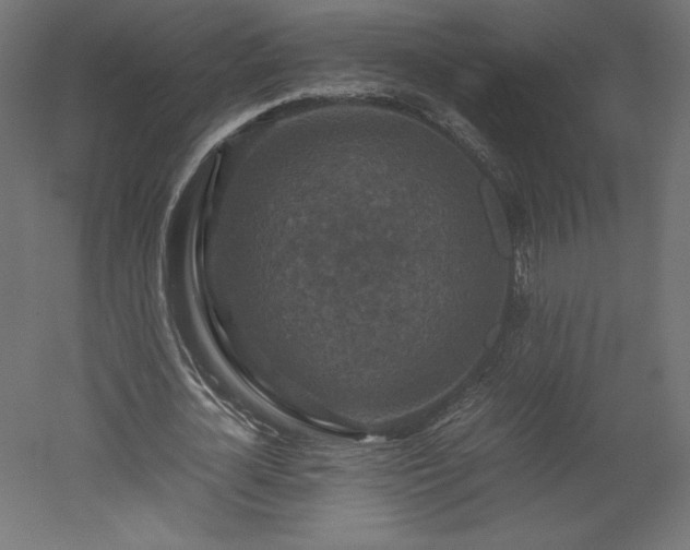 X0000051900724200507011506
