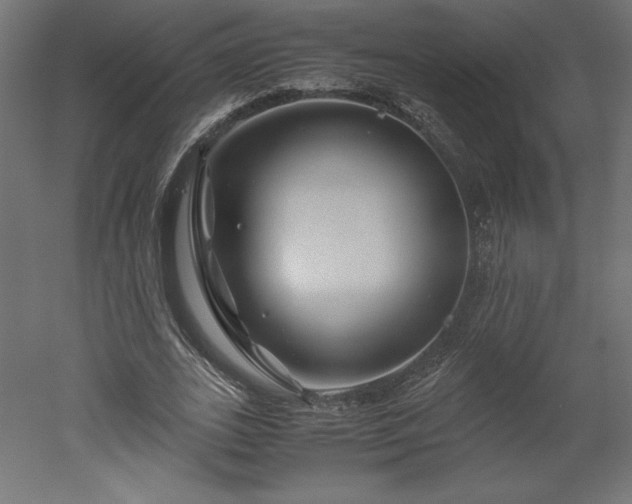 X0000051900727200507011506