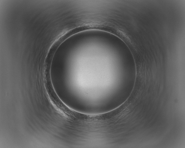 X0000051900730200507011506