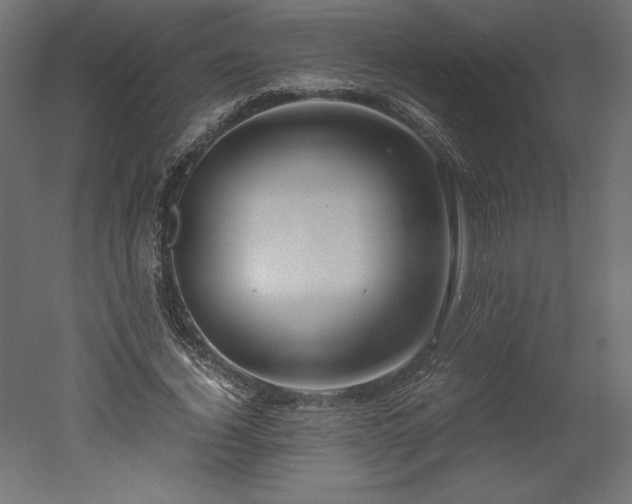 X0000051900732200507011506