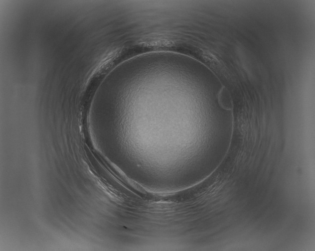 X0000051900735200507011507