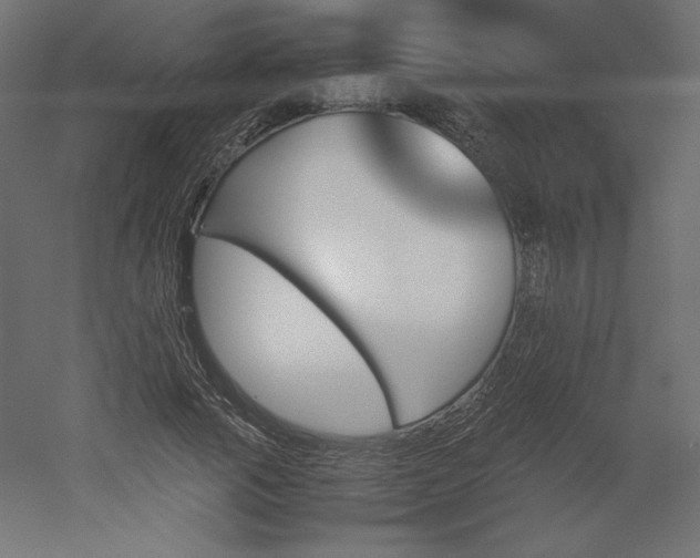 X0000051900737200507011507