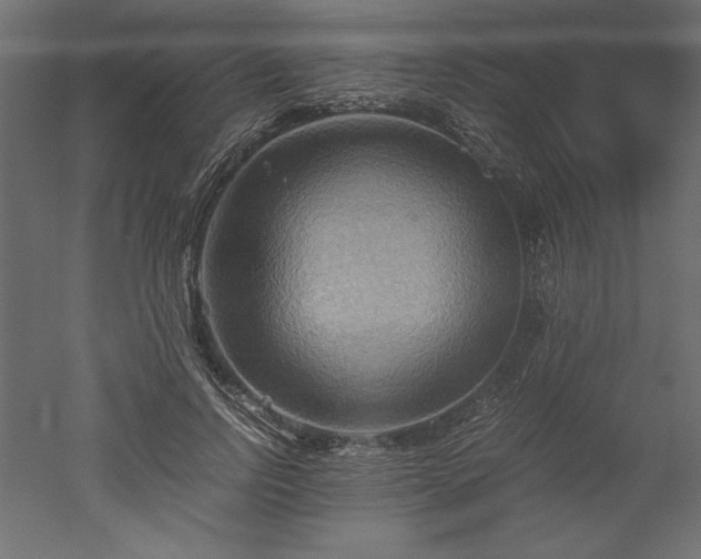 X0000051900742200507011507