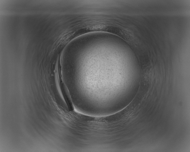 X0000051900743200507011507