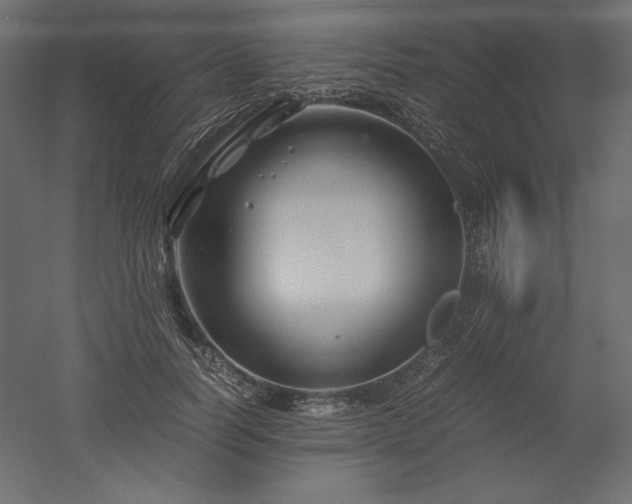 X0000051900746200507011507