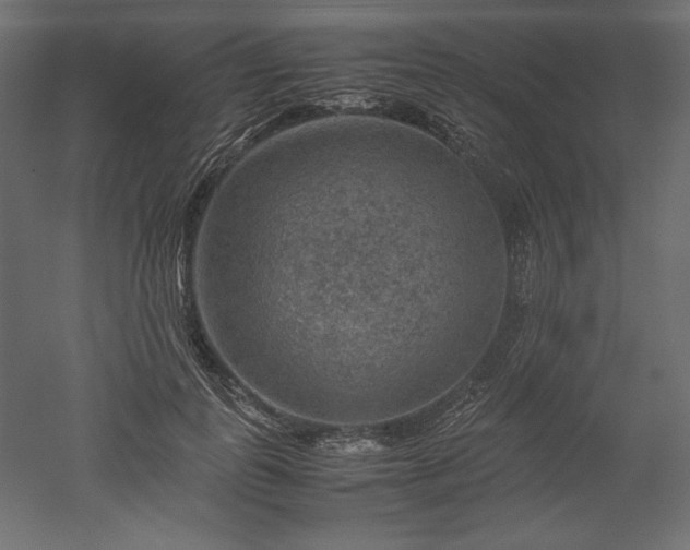 X0000051900747200507011507