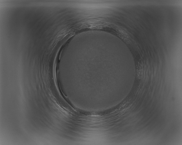 X0000051900748200507011507