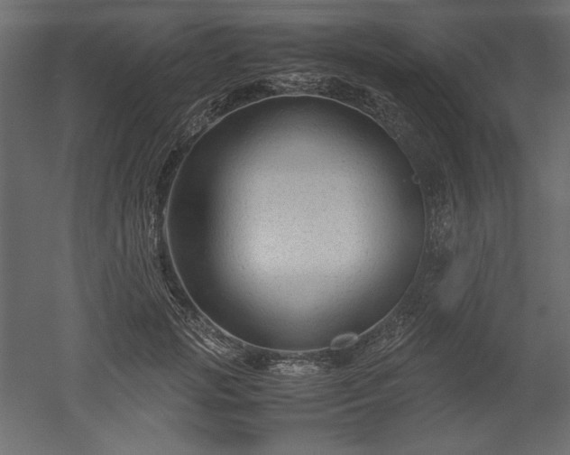 X0000051900749200507011507