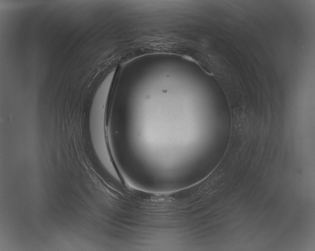 X0000051900752200507011507