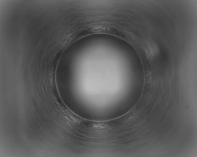 X0000051900753200507011507