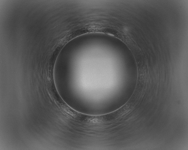 X0000051900755200507011507