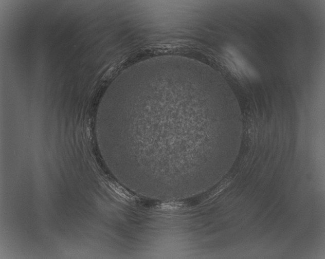 X0000051900758200507011507