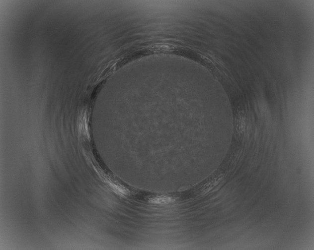 X0000051900759200507011507