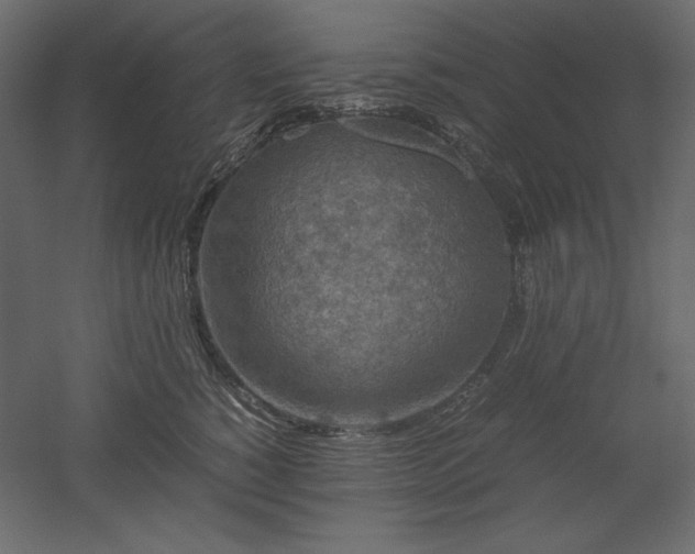 X0000051900760200507011507