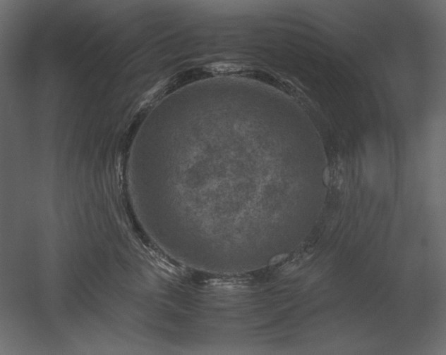 X0000051900763200507011507