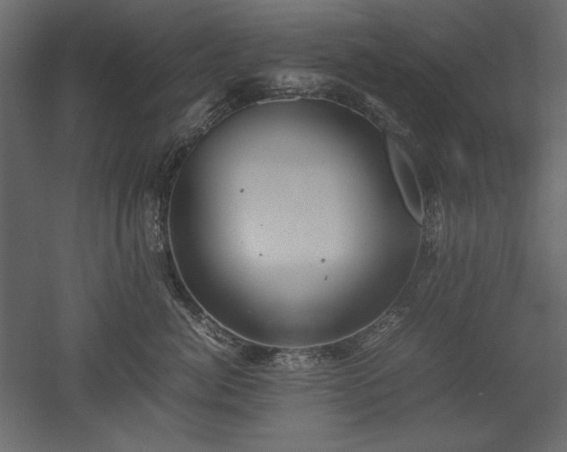 X0000051900764200507011507