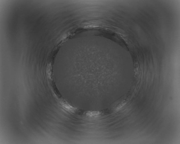 X0000051900767200507011507