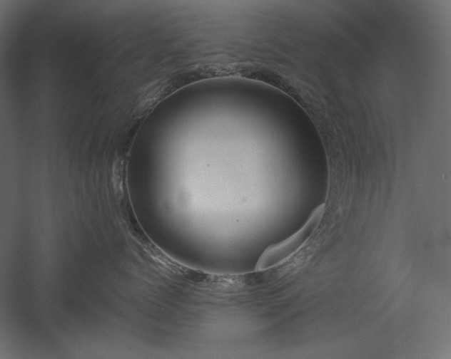 X0000051900768200507011507