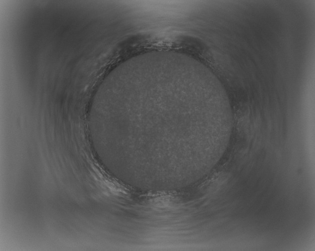 X0000051900769200507011506