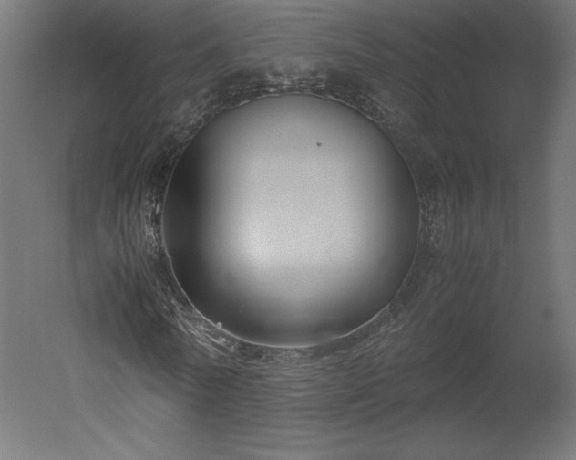 X0000051900770200507011506