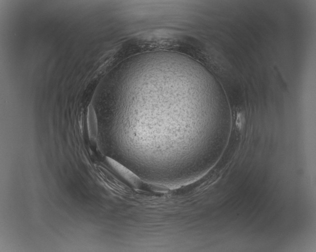 X0000051900771200507011506