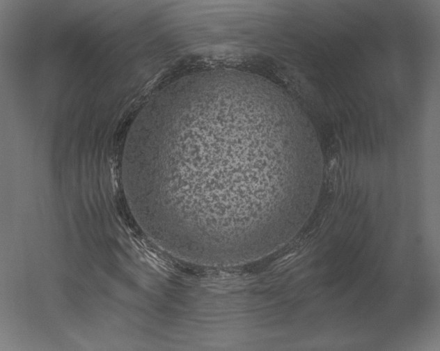 X0000051900772200507011506