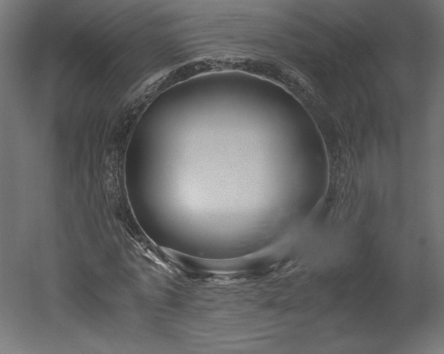 X0000051900773200507011506
