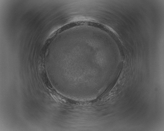 X0000051900775200507011506