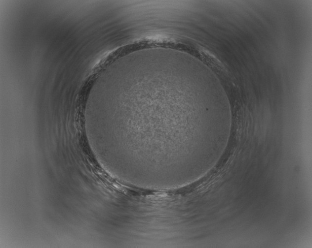 X0000051900776200507011506