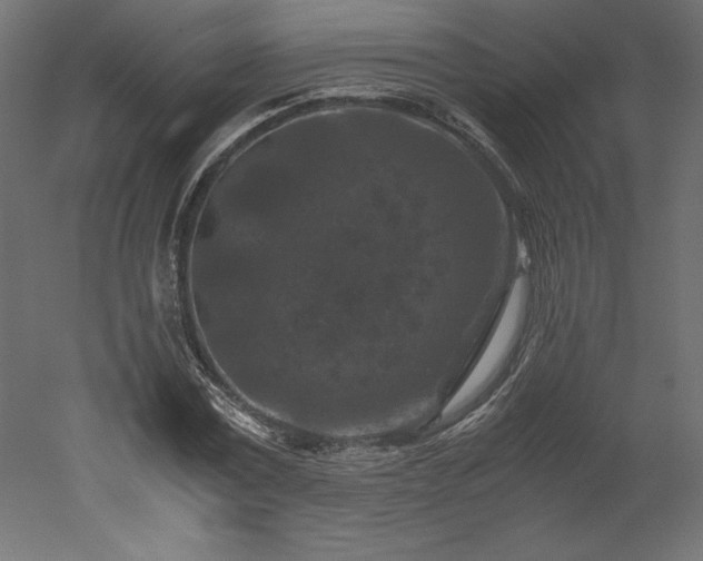X0000051900779200507011506