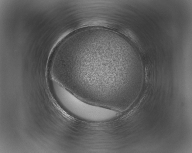 X0000051900780200507011506