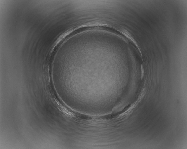 X0000051900781200507011506